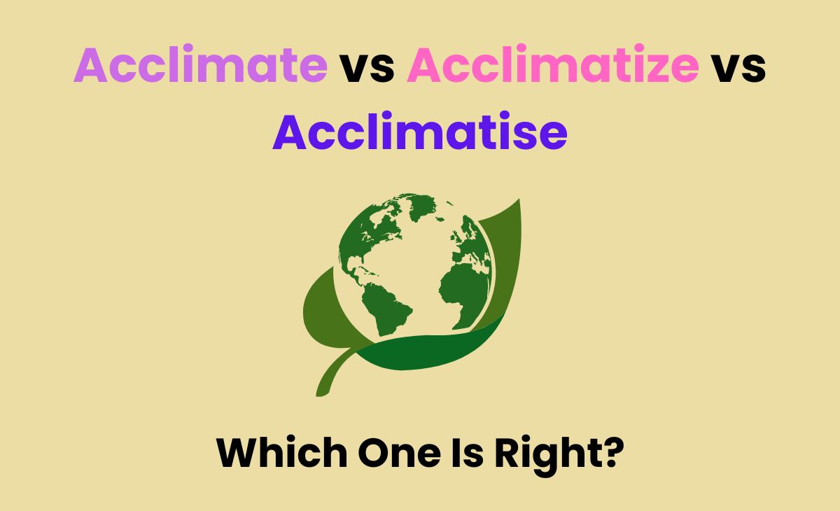 Acclimate vs Acclimatize vs Acclimatise: Which One Is Right?