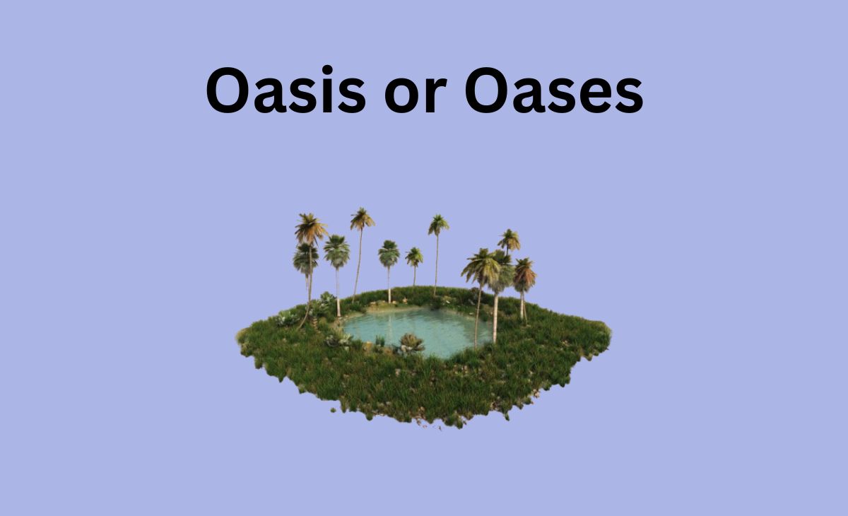 Oasis or Oases? Learn the Correct Plural of Oasis