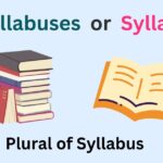 Plural of Syllabus: Syllabuses or Syllabi? Explained