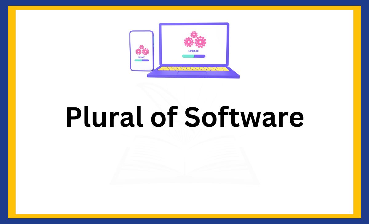 What’s the Plural of Software? Clear Answer & Examples